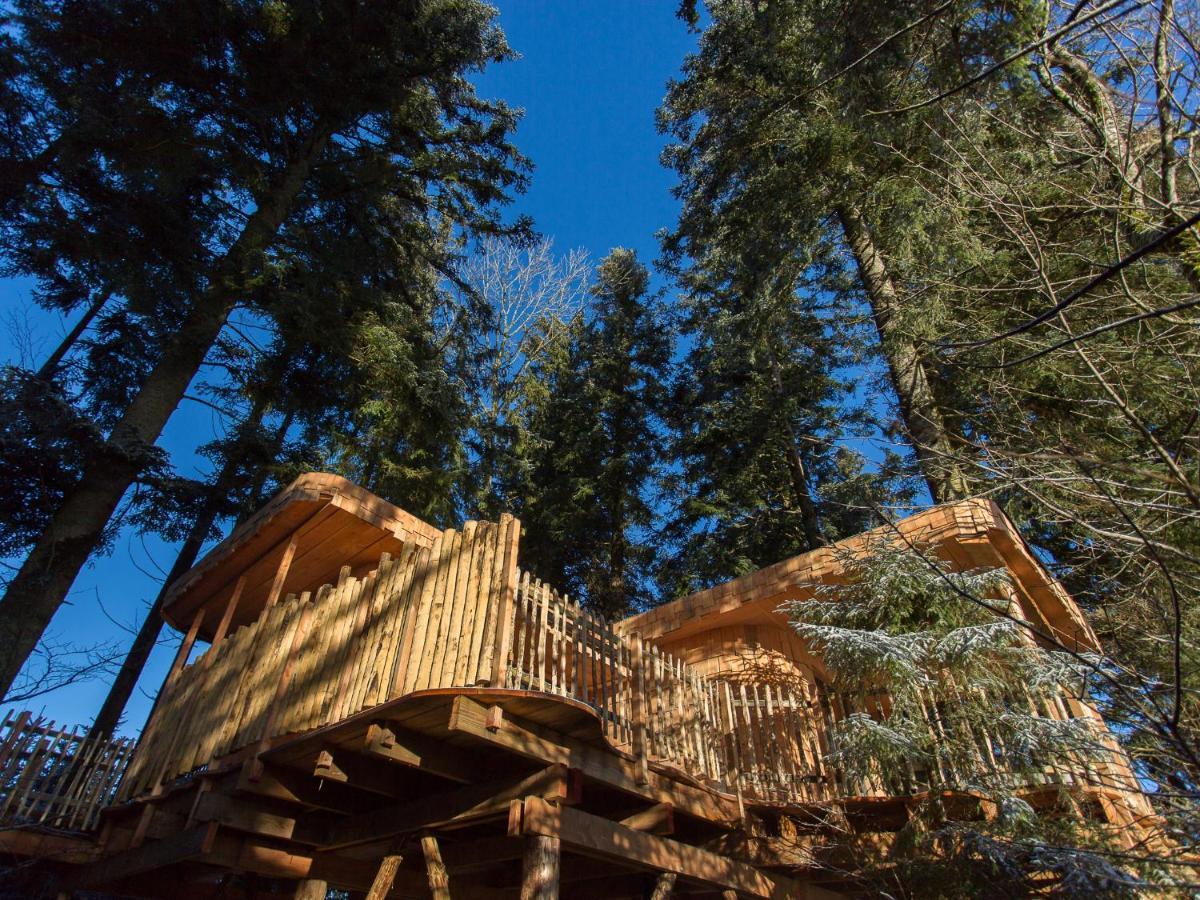 Domaine De L'authentique Dans Les Arbres Ferienhaus